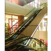 Escalera mecánica comercial con acero inoxidable sin pelo